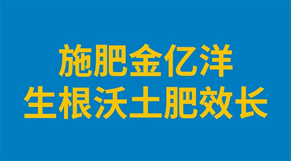 施肥金亿洋 生根沃土肥效长