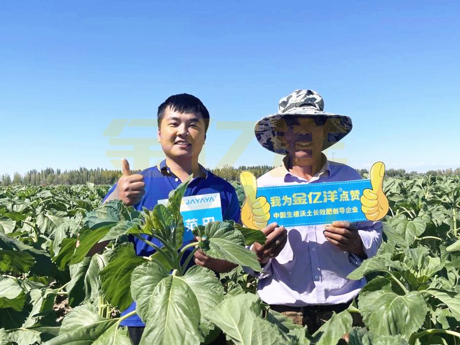 农资经销商快速转型升级的秘密（上）